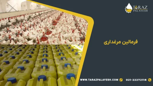فرمالین مرغداری تراز پالایش